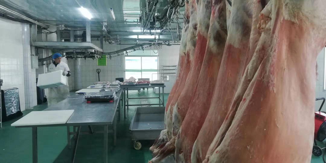 &#20843;&#25106;&#20307;&#32946;&#40;&#20013;&#22269;&#41;&#23448;&#26041;&#32593;&#31449;&#45;&#30331;&#24405;&#20837;&#21475;